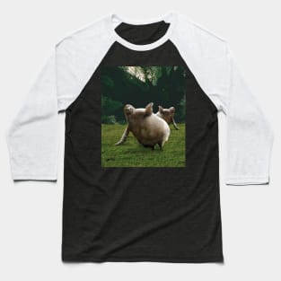 Cute Funny Fat Sloth, Forest Baseball T-Shirt